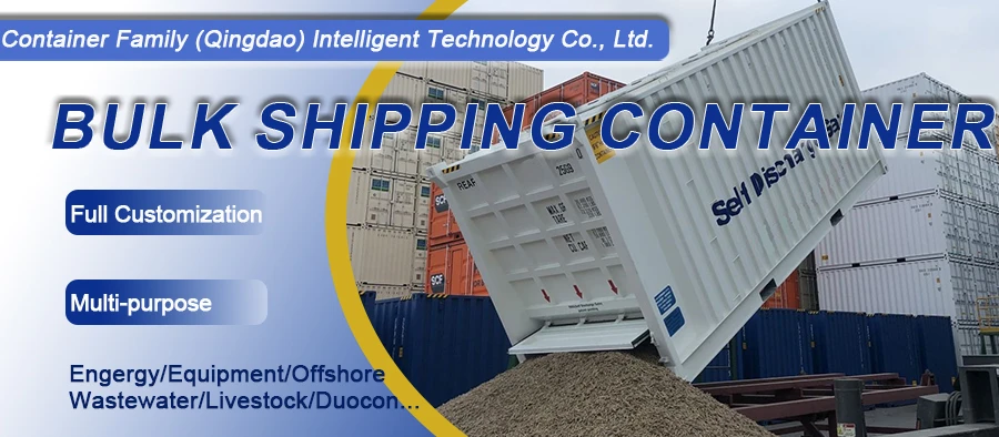 20' Bulk Container
